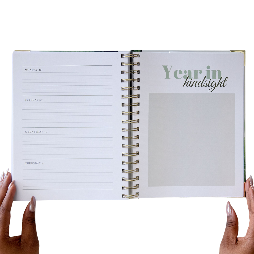 My Amplified Year