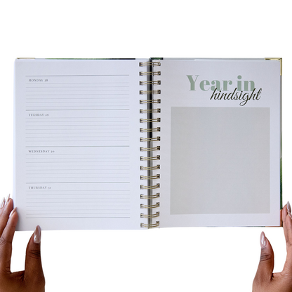 My Amplified Year